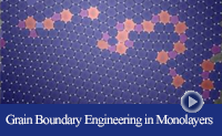 Grain Boundary Formation