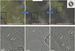 Defect Influence on Lithium Crystallization in Graphene Layers Observed via TEM