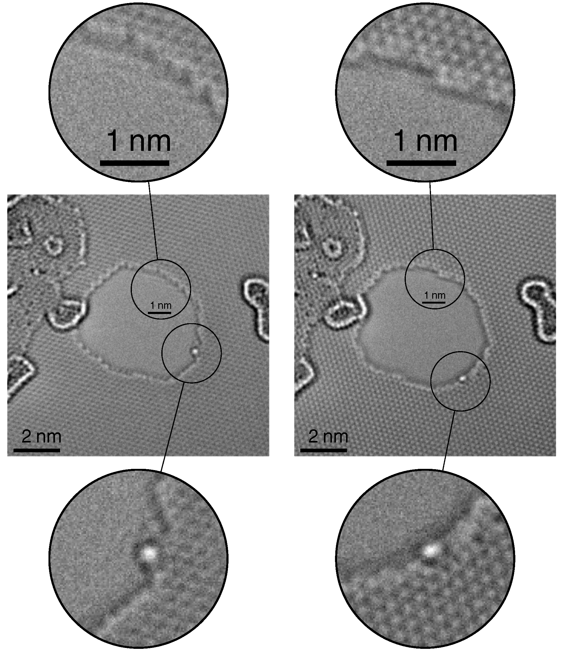 image of graphene at the edge and with adatoms at 20 kV with SALVE III