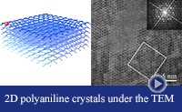 Metallic 2D polyaniline