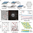 Morphological and interlayer coupling characterization of Cu<sub>3</sub>BHT-graphene vdWh