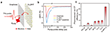 Efficient photoinduced CT at the Cu<sub>3</sub>BHT-graphene interface