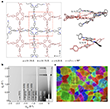 design of 2D polymer