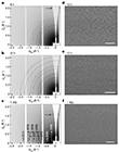 design of 2D polymer