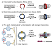 Functionalization of SWCNTs