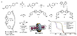 Schematic view of MINT-1/MINT-2 synthesis