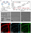 Molecular modelling, HRTEM and STEM-EDX data of SWCNTs