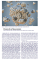 thumbnail -the private life of nanoclusters press article first page